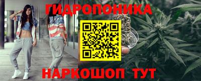 шишки Кулебаки