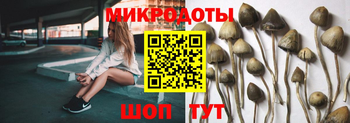 Псилоцибиновые грибы Cubensis Кисловодск