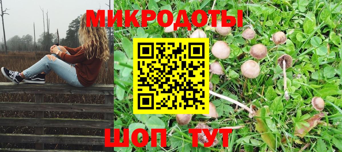 хочу   Вход с VPN  Кисловодск  Галлюциногенные грибы Cubensis 